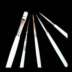 Nail Art Pinsel 5-teiliges Set