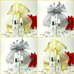 SKINTRIX Winter Dream Gift Set with mesh bag in silver or gold