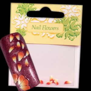 Nail Art Enchanting Flora