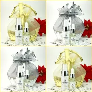 SKINTRIX Winter Dream Gift Set with mesh bag in silver or gold