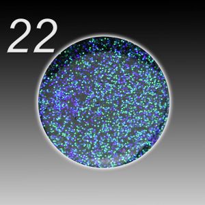 UV Gel Colour Fusion - 022 passion petrol (grün-blau mix), 5ml
