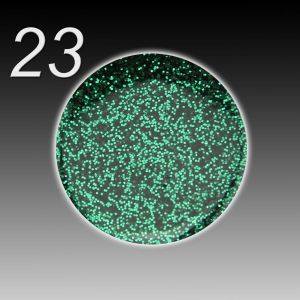 UV Gel Colour Fusion - 023 smaragdgrün, 5ml