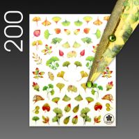 Stick On Nail Slides - 200