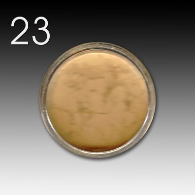 Flux Pigments for Gel - 023 Soft Gold