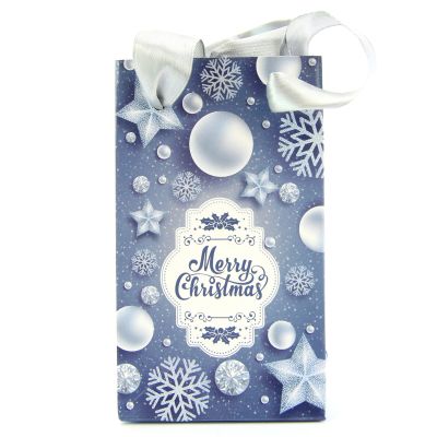 XMAS Geschenktütchen aus glänzend kaschiertem Papier - silber/blau