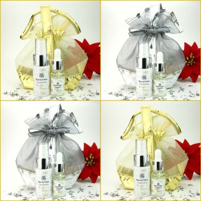 SKINTRIX Winter Dream Geschenkset mit Meshtäschchen in silber oder gold