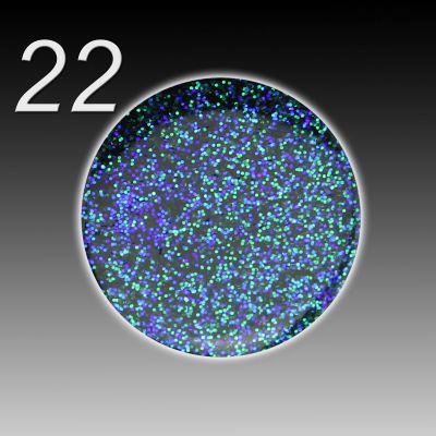 UV Gel Colour Fusion - 022 passion petrol (grün-blau mix), 5ml